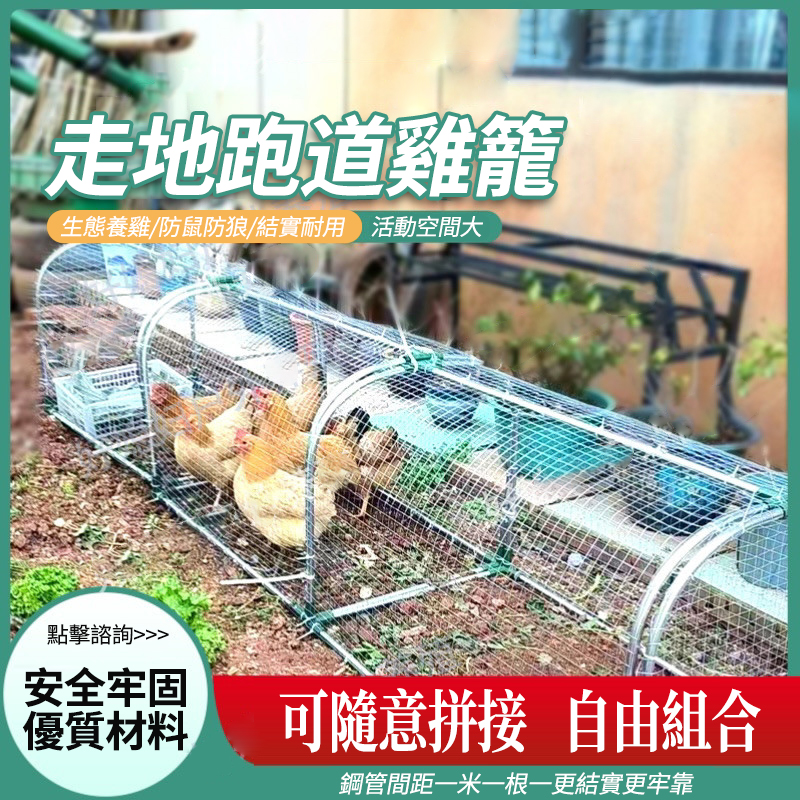 養雞就要自由走地！走道型雞兔籠，戶外可用，通風防雨不生鏽，搭建簡單，讓雞兔自由奔跑吃草不亂竄，後院菜園超實用。