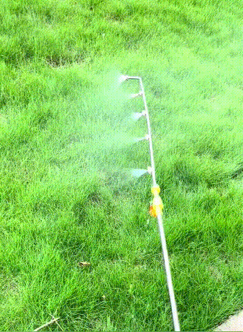 DT5.gif